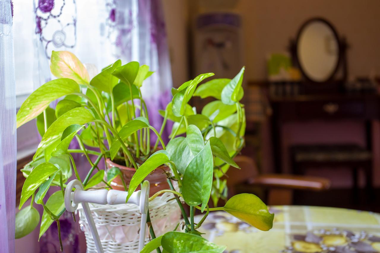 Chenyuan B&B 화롄 외부 사진
